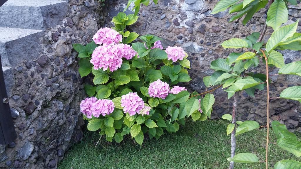 Etma Bed & Breakfast SantʼAlfio Екстериор снимка