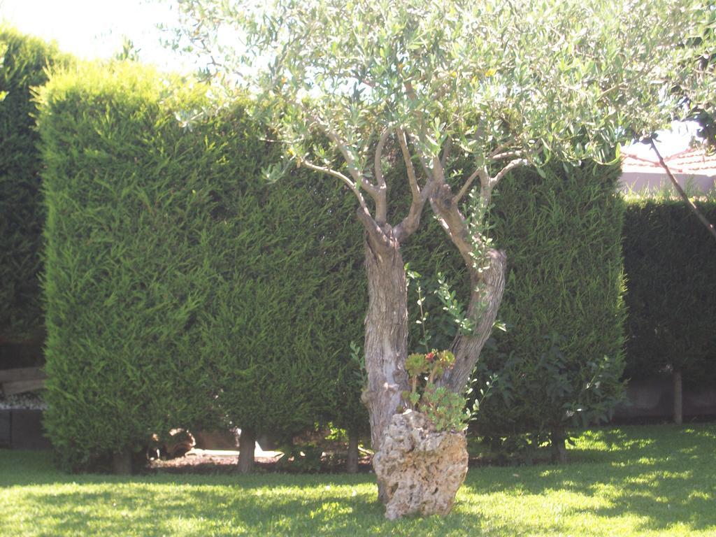 Etma Bed & Breakfast SantʼAlfio Екстериор снимка